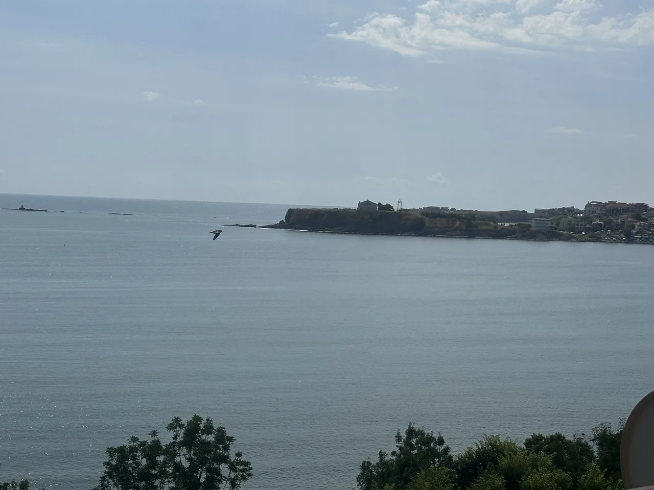 Роман Царево